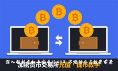 深入解析虚拟币安币（B