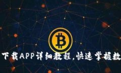 TP钱包官网下载APP详细教程
