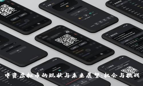 中资虚拟币的现状与未来展望：机会与挑战