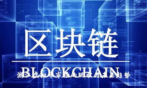 浙江虚拟币市场的现状与未来趋势