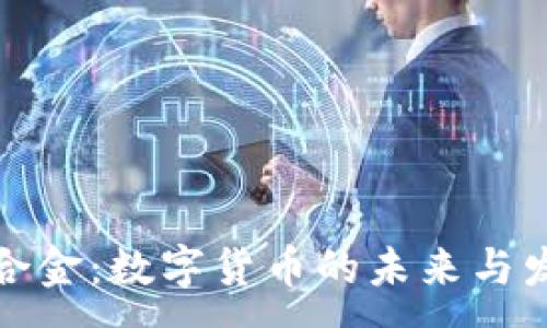 :  
虚拟币合金：数字货币的未来与发展趋势
