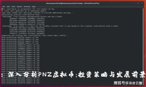 : 深入分析PNZ虚拟币：投资策略与发展前景