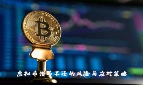 虚拟币借币不还的风险与应对策略