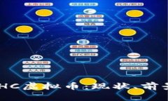 深入解析BCHC虚拟币：现状