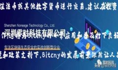  深入解析Bitcny虚拟币：未