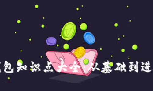 虚拟币钱包知识点大全：从基础到进阶全解读