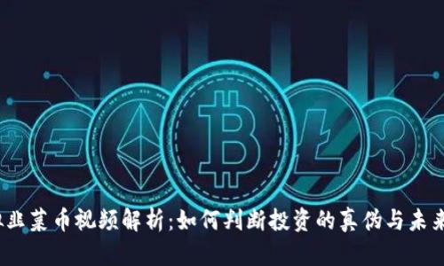  虚拟韭菜币视频解析：如何判断投资的真伪与未来趋势