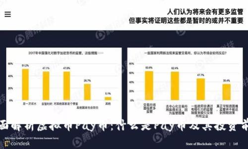 全面解析虚拟币Pay币：什么是Pay币及其投资前景