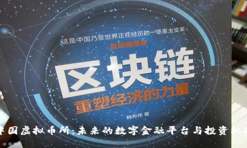 中国虚拟币所：未来的数字金融平台与投资机遇