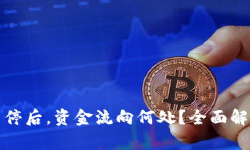 和关键词

虚拟币交易暂停后，资金流向何处？全面解析与未来展望