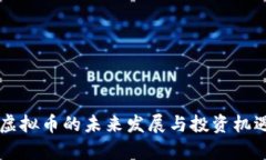 国际虚拟币的未来发展与