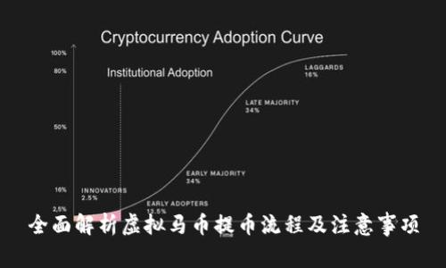 全面解析虚拟马币提币流程及注意事项