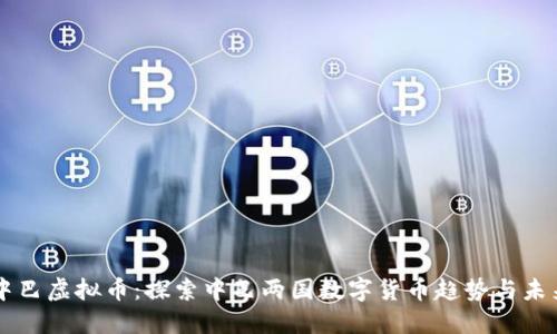 中巴虚拟币：探索中巴两国数字货币趋势与未来