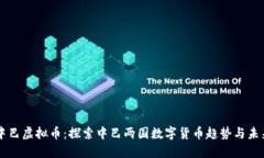 中巴虚拟币：探索中巴两