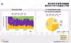 深入探讨CZ虚拟币的未来发