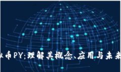  虚拟币PY：理解其概念、