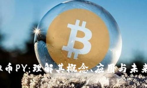  虚拟币PY：理解其概念、应用与未来发展