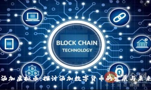 汤加虚拟币：探讨汤加数字货币的发展与未来