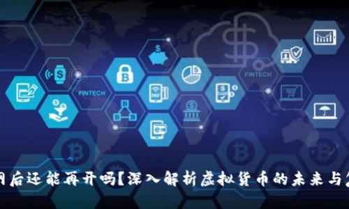 虚拟币关网后还能再开吗？深入解析虚拟货币的未来与复苏可能性