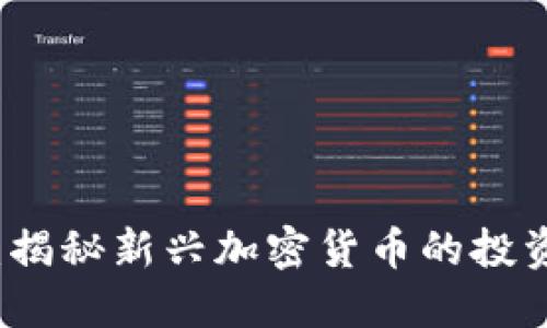 黑洞虚拟币：揭秘新兴加密货币的投资潜力与风险