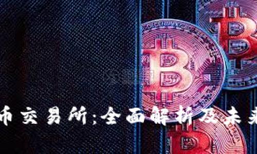 香港虚拟币交易所：全面解析及未来发展趋势