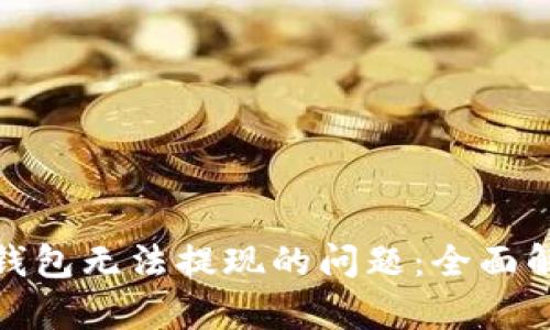 : 解决虚拟币钱包无法提现的问题：全面解析与应对方法