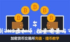 深入解析VNS虚拟币：投资