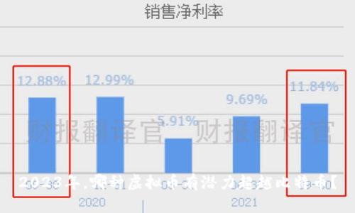2023年，哪种虚拟币有潜力超越比特币？