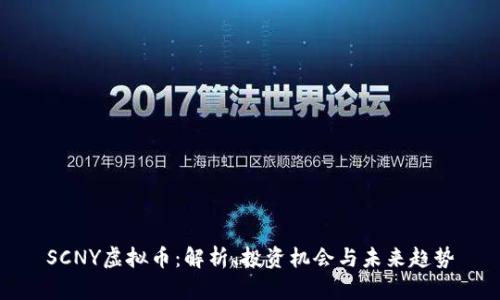 SCNY虚拟币：解析、投资机会与未来趋势