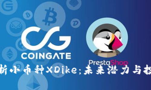 全面解析小币种XDike：未来潜力与投资机会