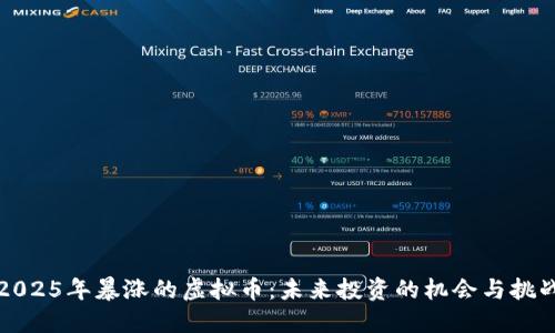 2025年暴涨的虚拟币：未来投资的机会与挑战