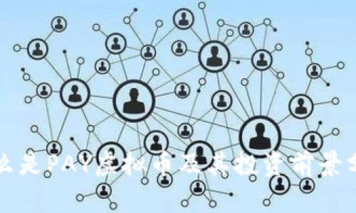 什么是PAY虚拟币及其投资前景分析