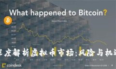 央视深度解析虚拟币市场