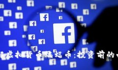 深入了解虚拟货币蝙蝠币