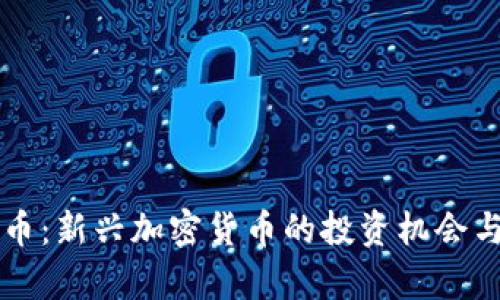 虚拟水手币：新兴加密货币的投资机会与风险分析