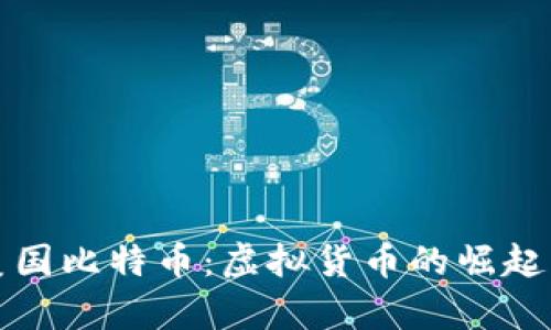 深入了解美国比特币：虚拟货币的崛起与未来前景