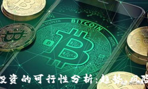   
虚拟币投资的可行性分析：趋势、风险与机遇