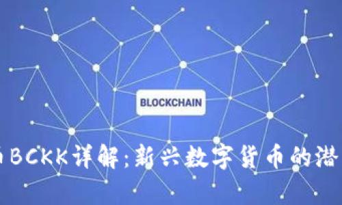 虚拟币BCKK详解：新兴数字货币的潜力分析