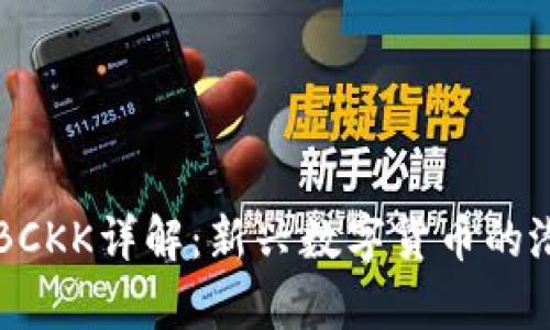 虚拟币BCKK详解：新兴数字货币的潜力分析