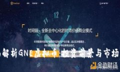 全面解析GNE虚拟币：投资
