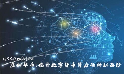 assembled
  虚拟华币：揭开数字货币背后的神秘面纱