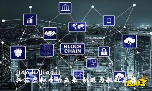 jiaodi/jiaodi
江苏虚拟币的未来：机遇与挑战并存