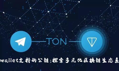 tpwallet支持的公链：探索多元化区块链生态系统