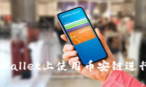 如何在TPWallet上使用币安链进行安全交易