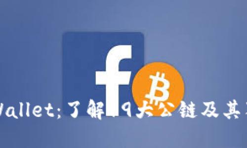 探秘TPWallet：了解19大公链及其独特魅力