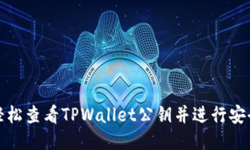 如何轻松查看TPWallet公钥并进行安全操作