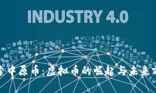 探索中原币：虚拟币的崛起与未来前景