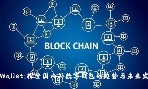 TPWallet：探索国内外数字钱包的趋势与未来发展