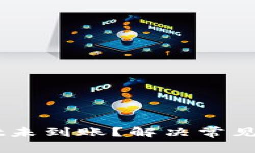 转账到TPWallet未到账？解决常见问题的详细指南