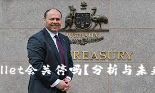 tpwallet会关停吗？分析与未来展望